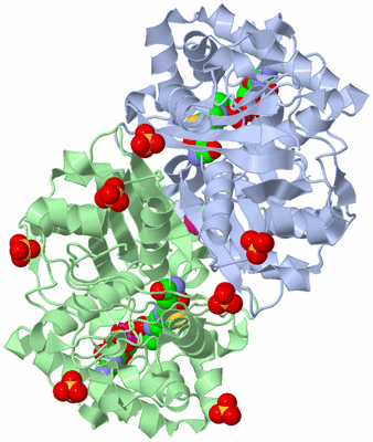 Image Biological Unit 3