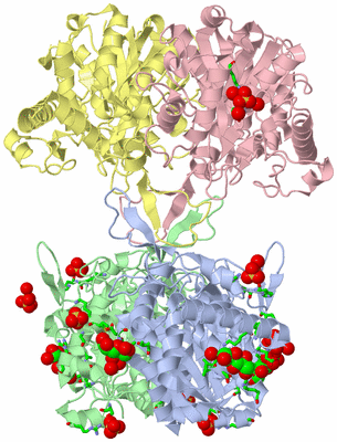 Image Asym./Biol. Unit - sites