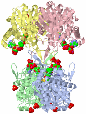 Image Asym./Biol. Unit