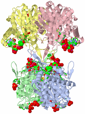 Image Asym./Biol. Unit - sites