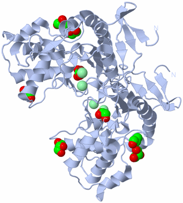 Image Biological Unit 1