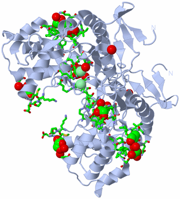 Image Biol. Unit 1 - sites