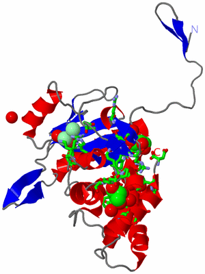 Image Asym. Unit - sites