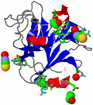 Image Asym./Biol. Unit - sites