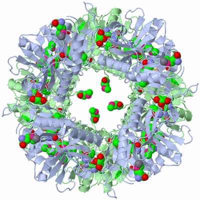 Image Biological Unit 2