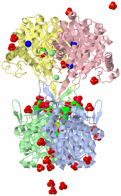 Image Asym./Biol. Unit