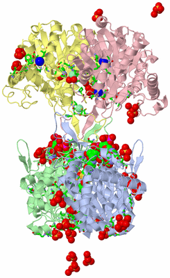 Image Asym./Biol. Unit - sites