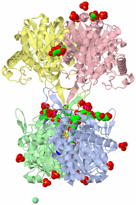 Image Asym./Biol. Unit