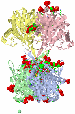 Image Asym./Biol. Unit - sites