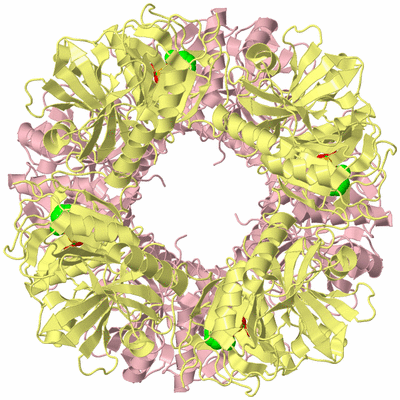 Image Biological Unit 1