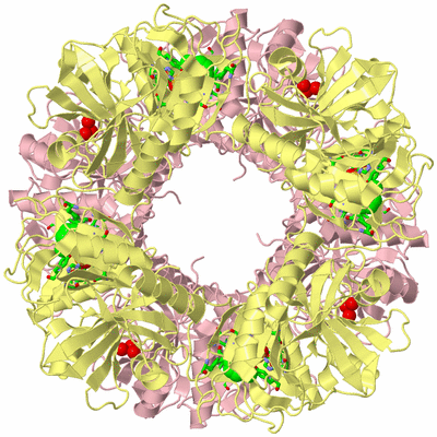 Image Biol. Unit 1 - sites