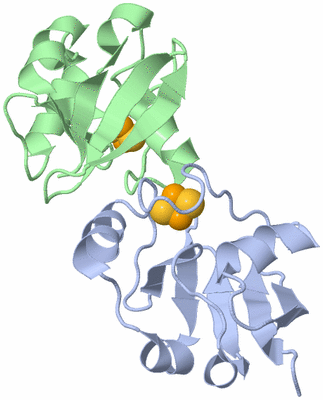 Image Biological Unit 3