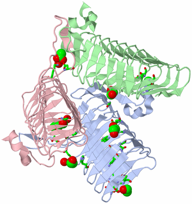 Image Asym./Biol. Unit - sites