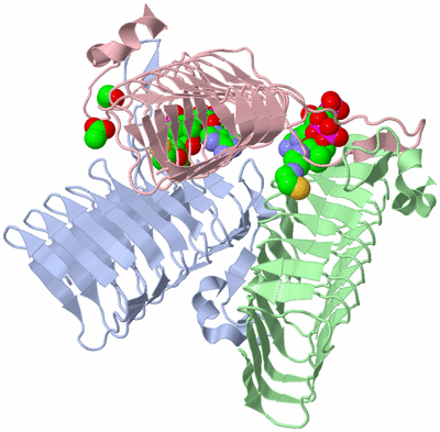 Image Asym./Biol. Unit