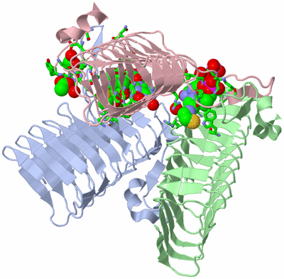 Image Asym./Biol. Unit - sites