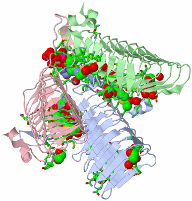 Image Asym./Biol. Unit - sites