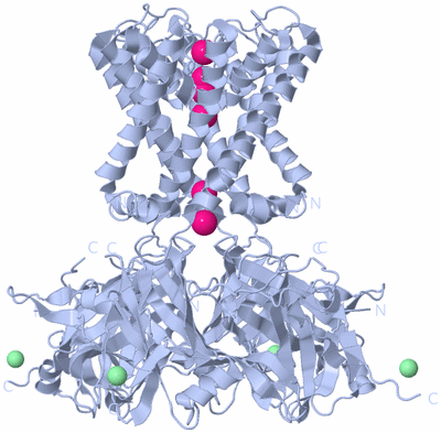 Image Biological Unit 1