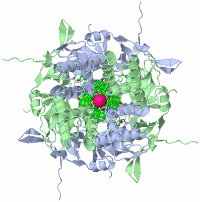 Image Biol. Unit 1 - sites