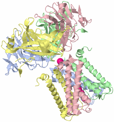 Image Asym./Biol. Unit