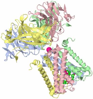 Image Asym./Biol. Unit - sites