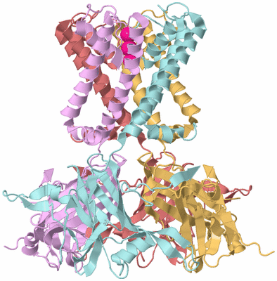 Image Biological Unit 2