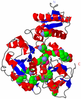 Image Asym./Biol. Unit