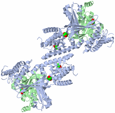 Image Biological Unit 1