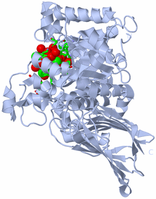 Image Biol. Unit 1 - sites