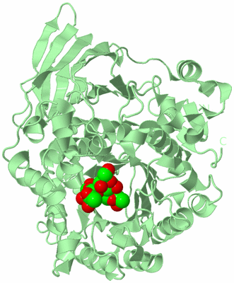 Image Biological Unit 2