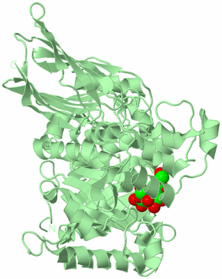 Image Biological Unit 2