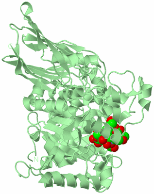 Image Biological Unit 2