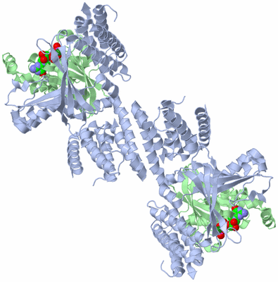 Image Biological Unit 1