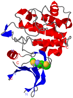 Image Asym./Biol. Unit