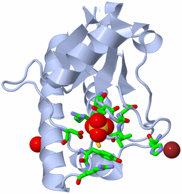 Image Biol. Unit 1 - sites