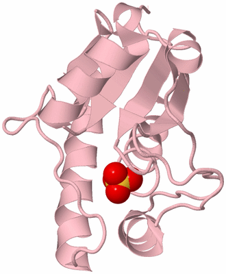 Image Biological Unit 3