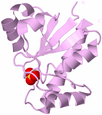 Image Biological Unit 5