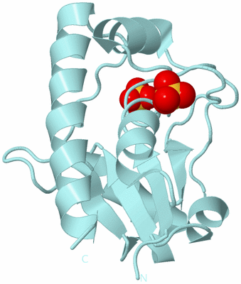 Image Biological Unit 6