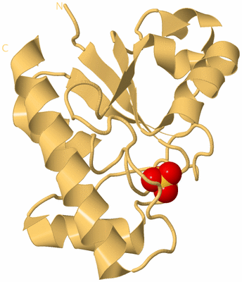 Image Biological Unit 7