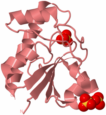 Image Biological Unit 8