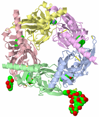 Image Asym./Biol. Unit