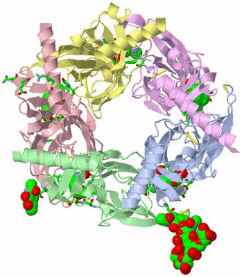 Image Asym./Biol. Unit - sites