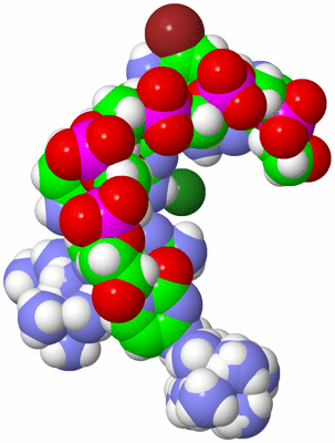 Image Asymmetric Unit