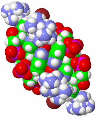 Image Biological Unit 1