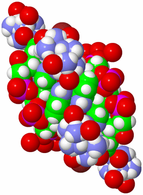 Image Biol. Unit 1 - sites