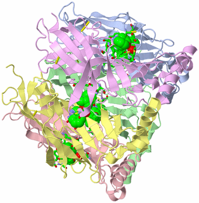 Image Asym./Biol. Unit - sites