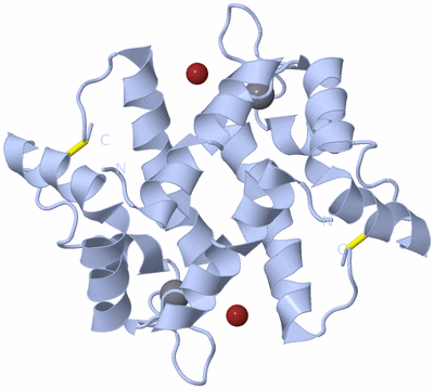 Image Biological Unit 1