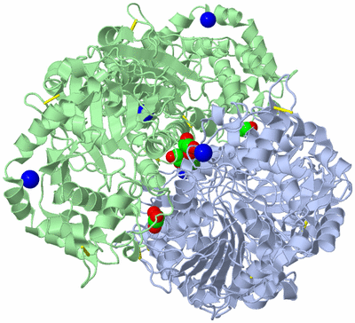 Image Biological Unit 1