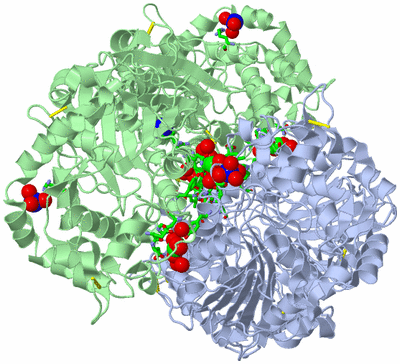 Image Biol. Unit 1 - sites