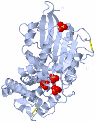 Image Biological Unit 1