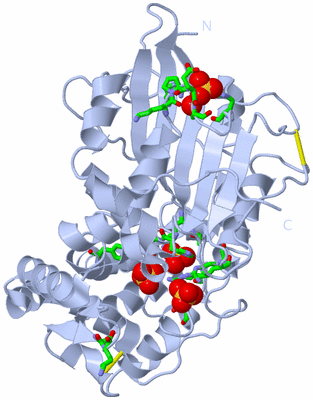 Image Biol. Unit 1 - sites